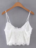 Lace Crop Cami Top