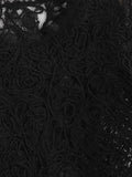 Hollow Out Eyelash Lace Crop Top