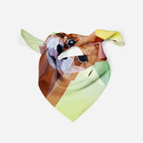 Chihuahua Silk Scarf Dog Bandana Scarf Silk Square