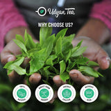 Kashmiri Saffron Tea & Lemongrass Tranquility Green Tea Gift Pack