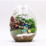 Creative Egg-Shaped Glass Bottles Succulent Glass Vase Hydroponic