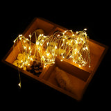 100 LEDs String Copper Wire Waterproof Fairy Light
