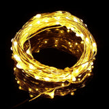 100 LEDs Copper Wire String Fairy Light Waterproof LED Decoration Lamp - shopwishi 