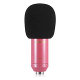 LEIHAO BM - 800 Professional Condenser Microphone