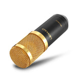 LEIHAO BM - 800 Professional Condenser Microphone