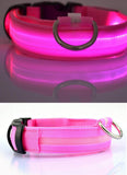 Nylon LED Pet Dog Collar,Night Safety Flashing Glow in the Dark Dog Leash