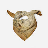Antique Star Map Silk Space Silk Square Scarf Gift