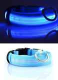 Nylon LED Pet Dog Collar,Night Safety Flashing Glow in the Dark Dog Leash