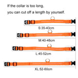 Nylon LED Pet Dog Collar,Night Safety Flashing Glow in the Dark Dog Leash