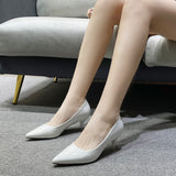 Women's Elegant Medium Heeled Pointed Shoes