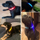 Nylon LED Pet Dog Collar,Night Safety Flashing Glow in the Dark Dog Leash