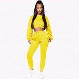 Women Clothing Wholesale Long Sleeve Clothes Women Solid Color Sets Thick Tracksuit Women Crop Top 2 Piece Sweat Pants Set