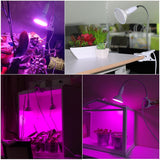 220V Phytolamp E27 Full Spectrum LED Grow Light Flexible Metal Hose Clip-On