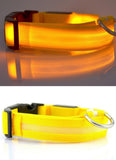 Nylon LED Pet Dog Collar,Night Safety Flashing Glow in the Dark Dog Leash