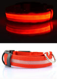Nylon LED Pet Dog Collar,Night Safety Flashing Glow in the Dark Dog Leash