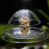 Clear Snail Trap Planarian Leech Catch Environment