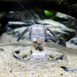 Clear Snail Trap Planarian Leech Catch Environment