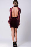 MESH SLEEVE VELVET DETAIL DRESS