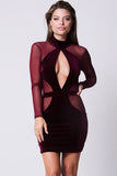 MESH SLEEVE VELVET DETAIL DRESS