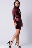 MESH SLEEVE VELVET DETAIL DRESS