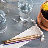Stainless Steel Straw Pack