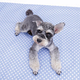 Domestic Delivery Pet Dog Cooling Beds Mat Summer