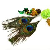 Fashion BOHO Style Peacock Earrings Feather Shiny