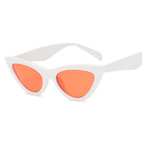 Cat Eye Sunglasses Wrap Designer Sunglasses Women 2018 High Quality Plastic Leopard Sunglasses Acrylic