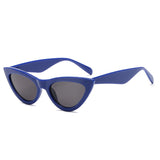 Cat Eye Sunglasses Wrap Designer Sunglasses Women 2018 High Quality Plastic Leopard Sunglasses Acrylic