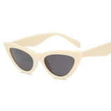 Cat Eye Sunglasses Wrap Designer Sunglasses Women 2018 High Quality Plastic Leopard Sunglasses Acrylic