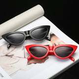 Cat Eye Sunglasses Wrap Designer Sunglasses Women 2018 High Quality Plastic Leopard Sunglasses Acrylic