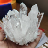 700-800g Quartz Crystal Clear Quartz Cluster Brazil Natural Quartz
