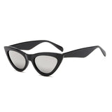 Cat Eye Sunglasses Wrap Designer Sunglasses Women 2018 High Quality Plastic Leopard Sunglasses Acrylic