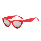 Cat Eye Sunglasses Wrap Designer Sunglasses Women 2018 High Quality Plastic Leopard Sunglasses Acrylic