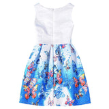 Elsa Dress for Girls Dresses summer Butterfly Anna Elsa Party Princess Dress clothing Elsa Dress Girls Kids Costume Clothes