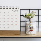 50PCS/box New Cute Succulent Plants Diary Paper Lable Sealing Stickers Crafts And Scrapbooking Decorative Lifelog DIY Stationery