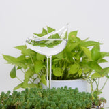 Houseplant Automatic Self Watering Glass Bird Watering Cans Flowers Plant Decorative Clear Glass Watering Device 12 Shapes
