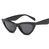 Cat Eye Sunglasses Wrap Designer Sunglasses Women 2018 High Quality Plastic Leopard Sunglasses Acrylic