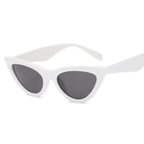 Cat Eye Sunglasses Wrap Designer Sunglasses Women 2018 High Quality Plastic Leopard Sunglasses Acrylic