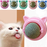 Wall Stick-on Healthy Natural Catnip for Cats