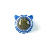 Wall Stick-on Healthy Natural Catnip for Cats