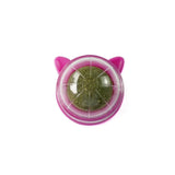 Wall Stick-on Healthy Natural Catnip for Cats