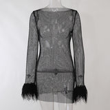 Fashion Sexy Feather Patchwork Long Sleeve Mesh Dress Women  Autumn See-through Bodycon Package Hip Party Night Club Dresses