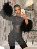 Fashion Sexy Feather Patchwork Long Sleeve Mesh Dress Women  Autumn See-through Bodycon Package Hip Party Night Club Dresses