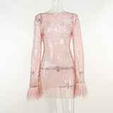 Fashion Sexy Feather Patchwork Long Sleeve Mesh Dress Women  Autumn See-through Bodycon Package Hip Party Night Club Dresses