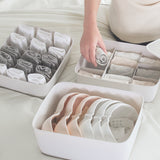 Delicates Closet Organizer