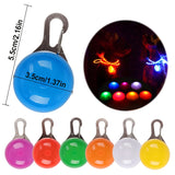 Nylon LED Pet Dog Collar,Night Safety Flashing Glow in the Dark Dog Leash
