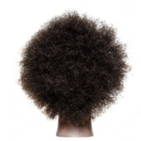 Traininghead Salon Afro Mannequin Head Human Hair Dummy Doll Hairdressing Training Head Real Hair Manikin Head Braiding Practice