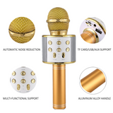 Karaoke Microphone