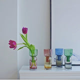 Two Ways Flower Vase Home Decor Living Room Decoration Glass